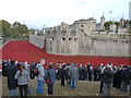 TQ3380 : Poppies at The Tower of London #11 by Richard Humphrey