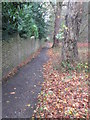 Footpath - Wells Road