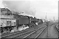 Coal train east of Manchester Victoria, 1966