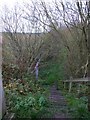 Footpath leading from Blackwell Trail