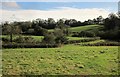 Fields near Shadrack