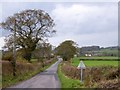 Monkokehampton from the south