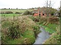 Small stream at Totnor, near Brockhampton