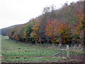 Shades  of  Autumn  Mowthorpe  Dale