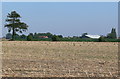 TF3125 : Flat farmland north of Moulton by Mat Fascione