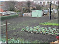 Allotments - Lees Hall Road