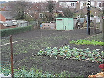 SE2419 : Allotments - Lees Hall Road by Betty Longbottom