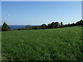 Farmland off Tregoney Hill