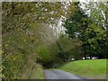 Woodland and hedges at Upcott