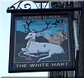 Sign for the White Hart, St Austell