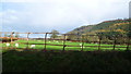 Sheep pasture near Sycharth