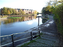 TQ3489 : The River Lee Navigation seen from Ferry Lane by Marathon