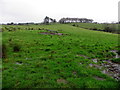 Freughlough Townland