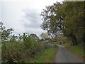 Farm buildings at Combe Moor