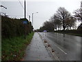 Southbourne Road (A390)