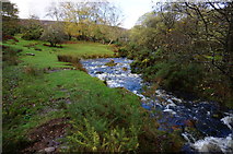 SX6868 : River Mardle looking upstream from the footbridge by jeff collins