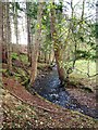 Nant yr Geb