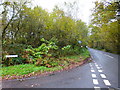 Looking west on Lucas Green Road from Ford Road