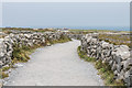 L8209 : Path to Dún Aonghasa by Ian Capper