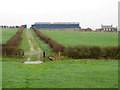 NY1128 : Grassland and track at Waterloo farm by Graham Robson