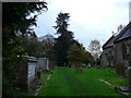 St Lawrence, Effingham: churchyard (e)