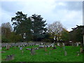 St Nicholas, Great Bookham: churchyard (p)