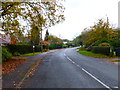 Scotts Grove Road looking westwards