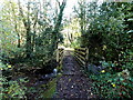 Wooden footbridge over a stream, Heol-y-cyw