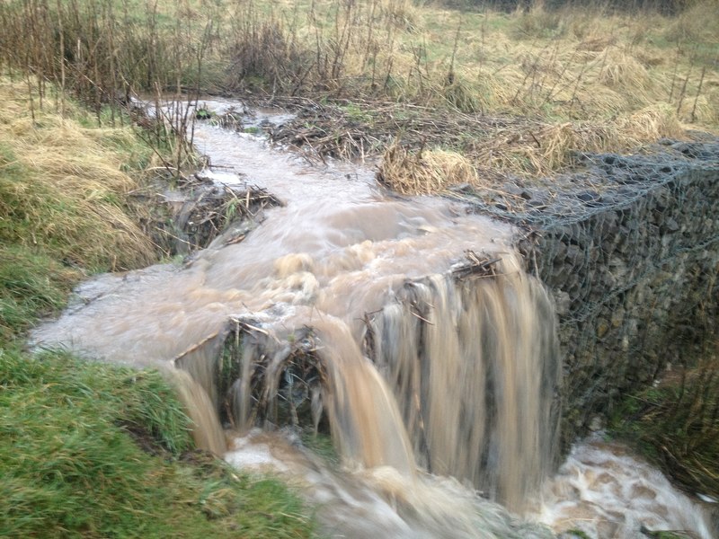 surface-runoff-into-bateswood-lake-jonathan-hutchins-geograph