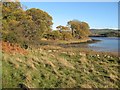 Afon Conwy shore 1