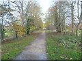 Quakers Walk looking towards Roundway 