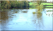 J3067 : The River Lagan in flood, Drumbeg, Dunmurry - November 2014(1) by Albert Bridge