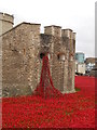 TQ3380 : Poppies at the Tower of London by Paul Bryan