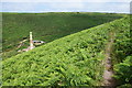 Footpath above the Kenidjack valley