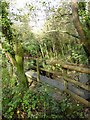 Footbridge over Roncombe Stream