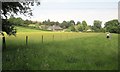 Bridleway to Alvediston