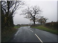 Gisburn Road near Raygill Moss