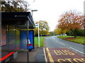 Bus stop on Kirkland Avenue