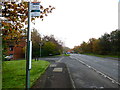 Looking south on Parley Drive from bus stop