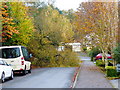 Tree down on Beacon Hill (2)