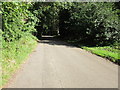 The Road Climbing Casthorpe Hill