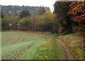 Robin Hood Way, towards Ravenshead