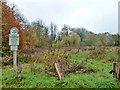 National Trust land, Water End