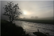 NT4544 : Gala Water in Fog by Anne Burgess