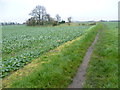 Footpath to Ham Marshes