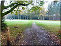 Mile Path crosses golf course between woodland areas