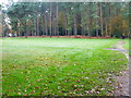 Part of Woking Golf Course