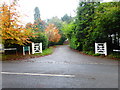 Looking into Hook Heath Gardens