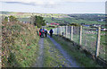 Bridleway near Castlewellan