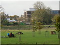 Lunch in the park